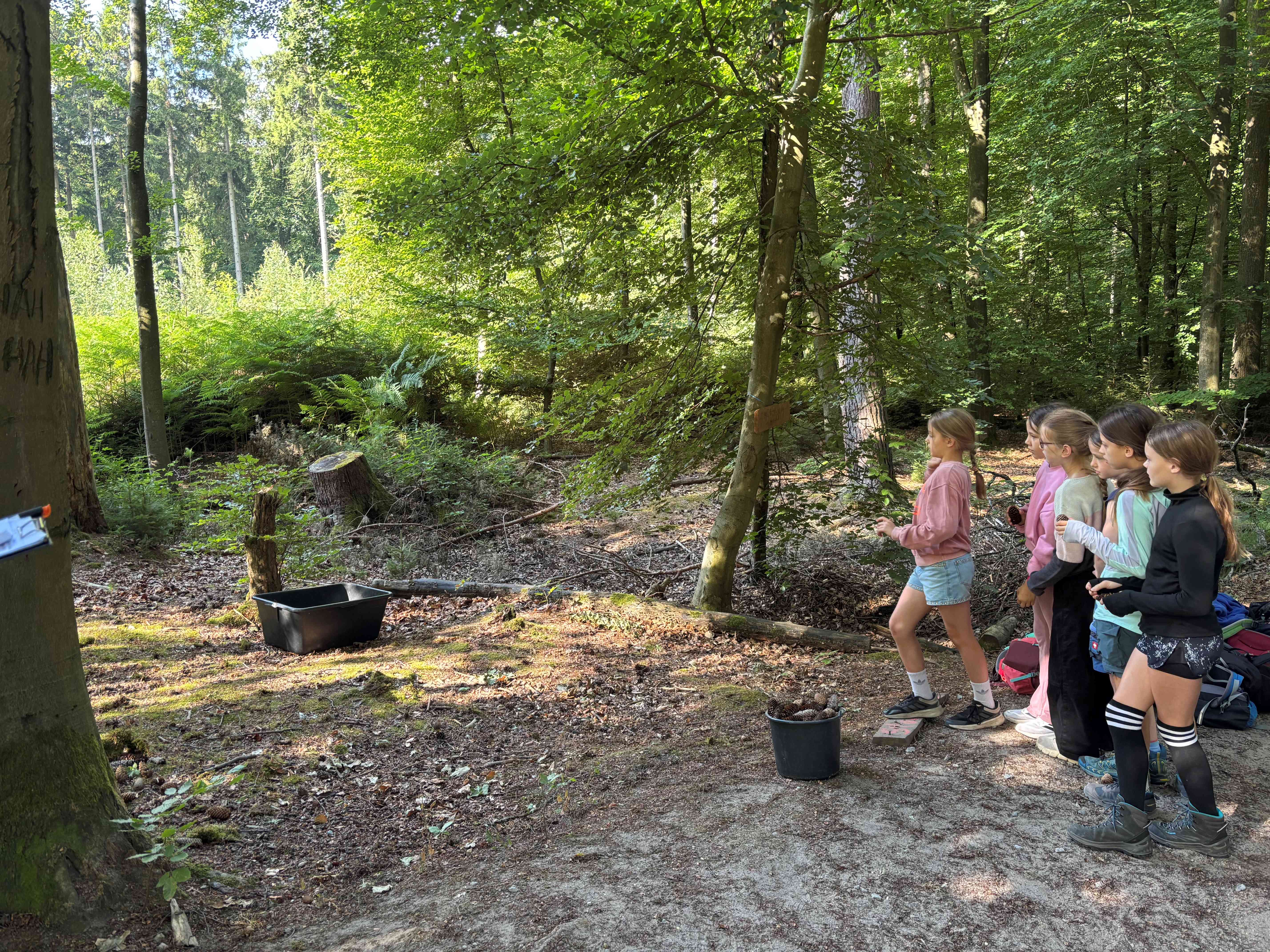 Waldjugendspiele Neu 1