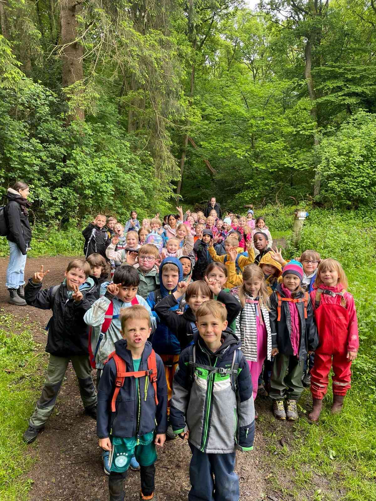 Wald 1 26